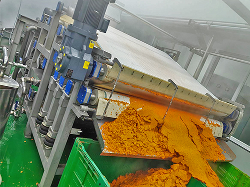 诺坤环保-带式果蔬压榨机-山东济南市胡萝卜压榨现场